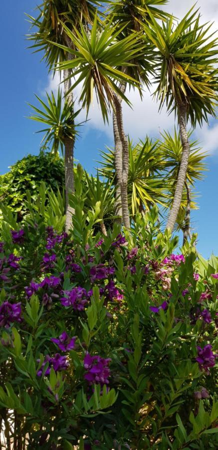 Villa Quinta Da Violeta ローレ エクステリア 写真