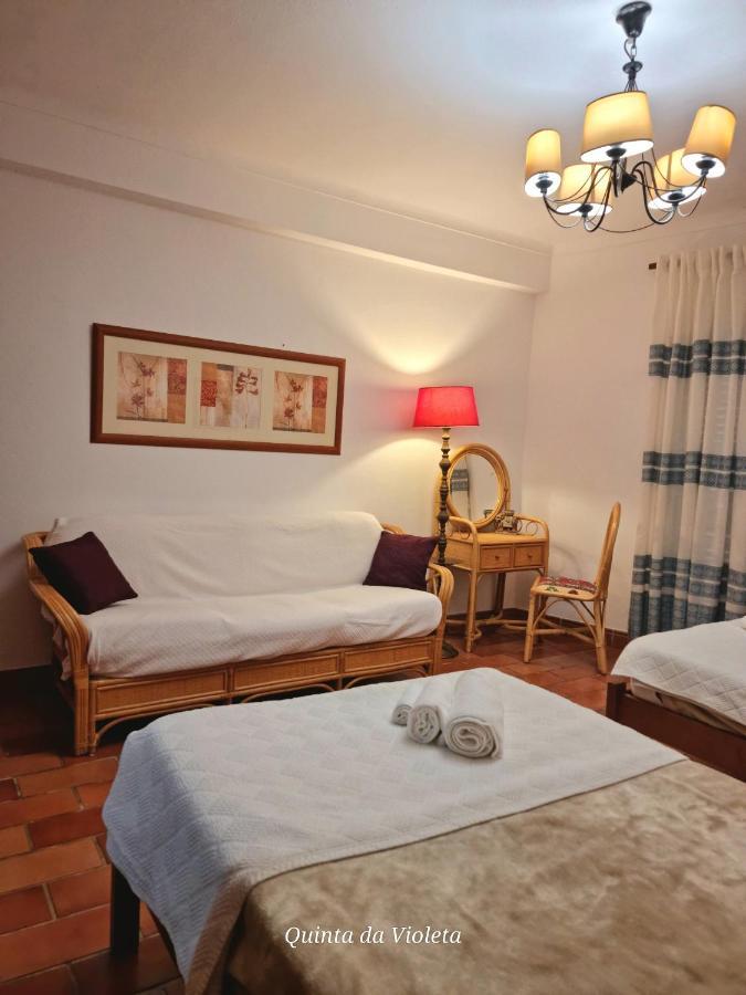 Villa Quinta Da Violeta ローレ エクステリア 写真